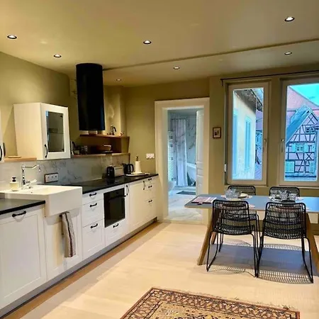 Du Trefle Appartement Colmar